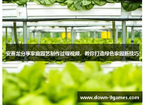 安赛龙分享家庭园艺制作过程视频，教你打造绿色家园新技巧