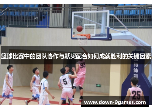 篮球比赛中的团队协作与默契配合如何成就胜利的关键因素